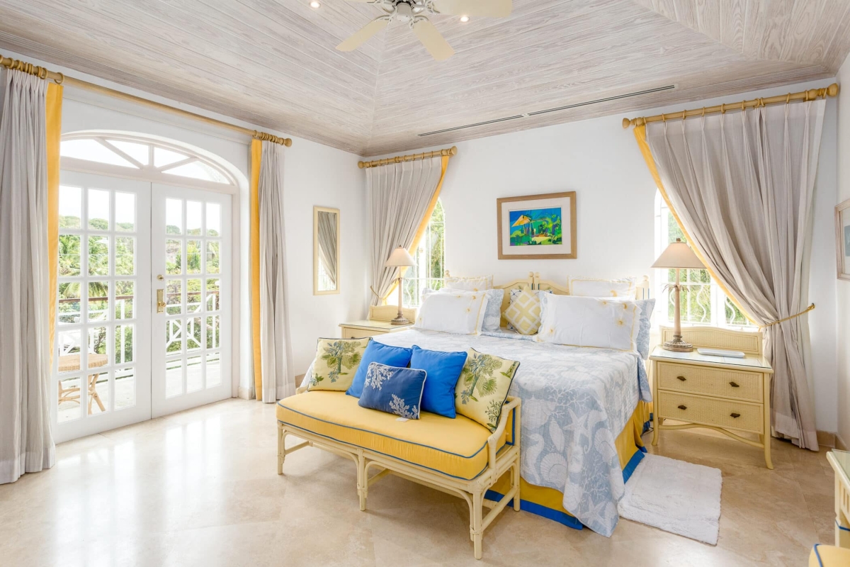 Old Trees 201 - Hallidays