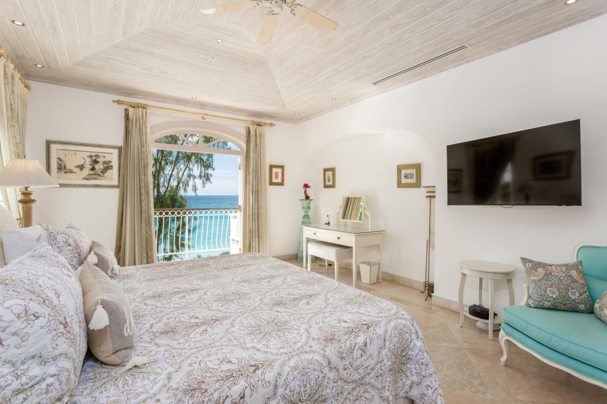 Old Trees 201 - Hallidays