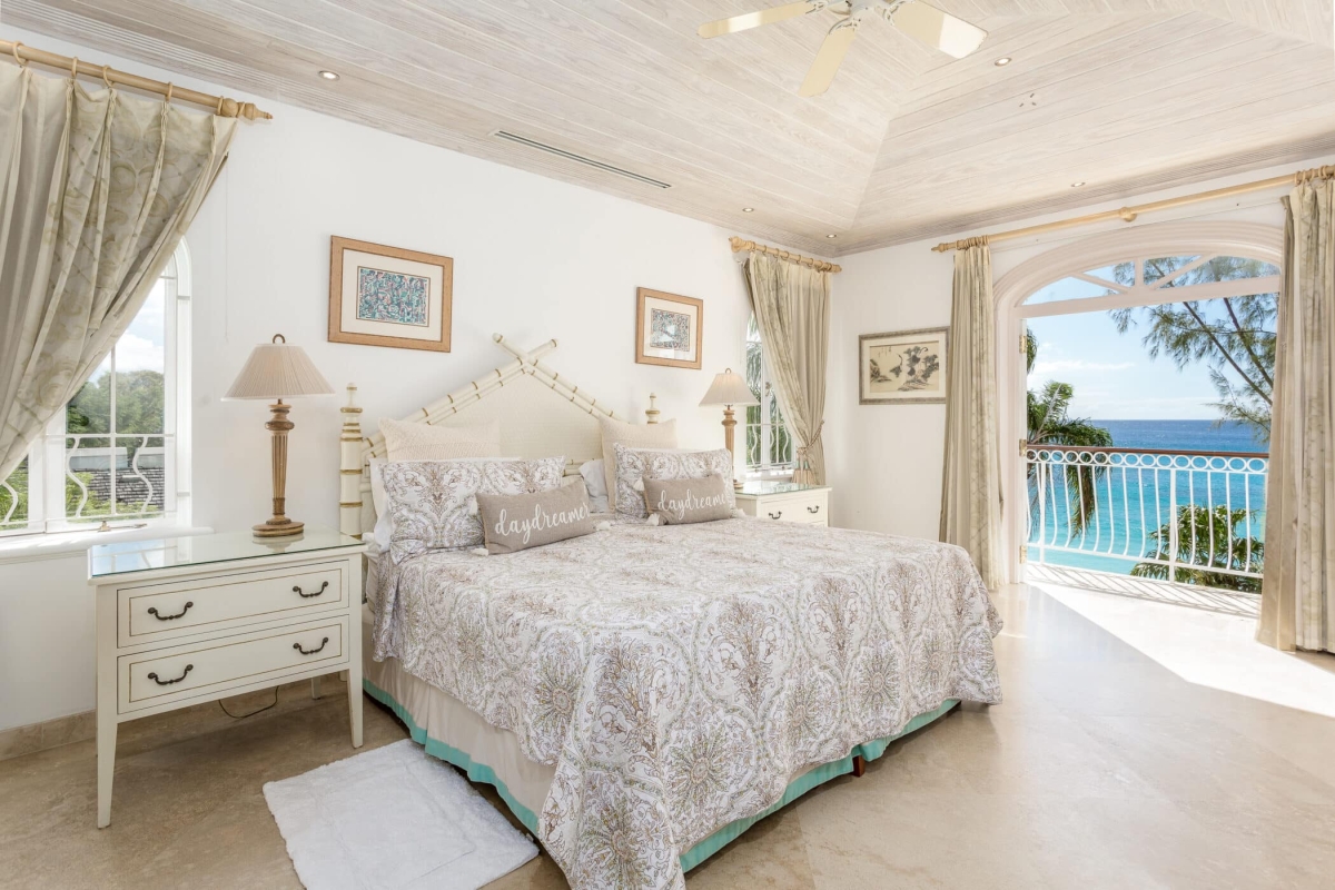 Old Trees 201 - Hallidays