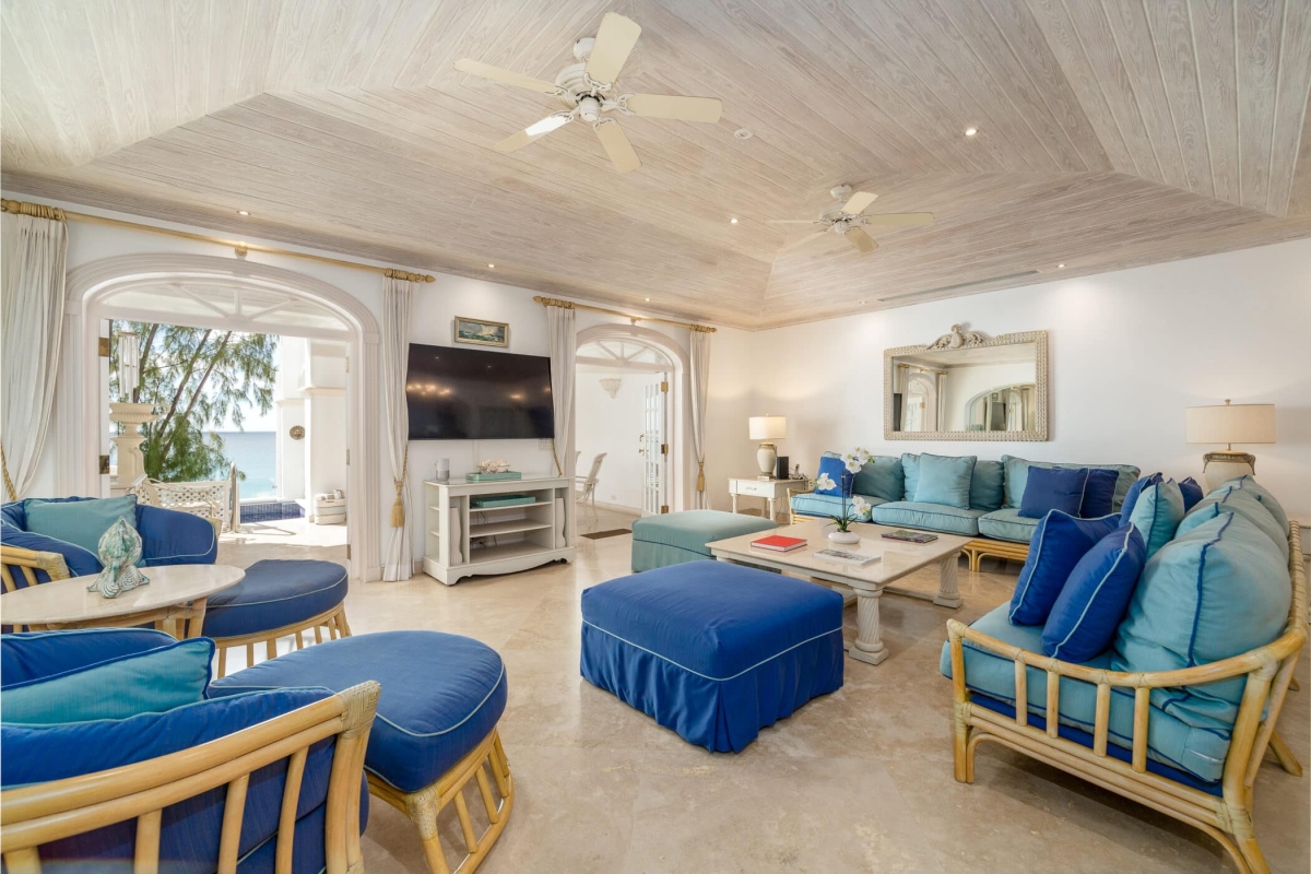 Old Trees 201 - Hallidays