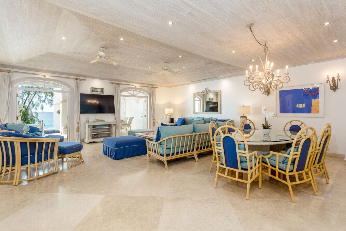 Old Trees 201 - Hallidays