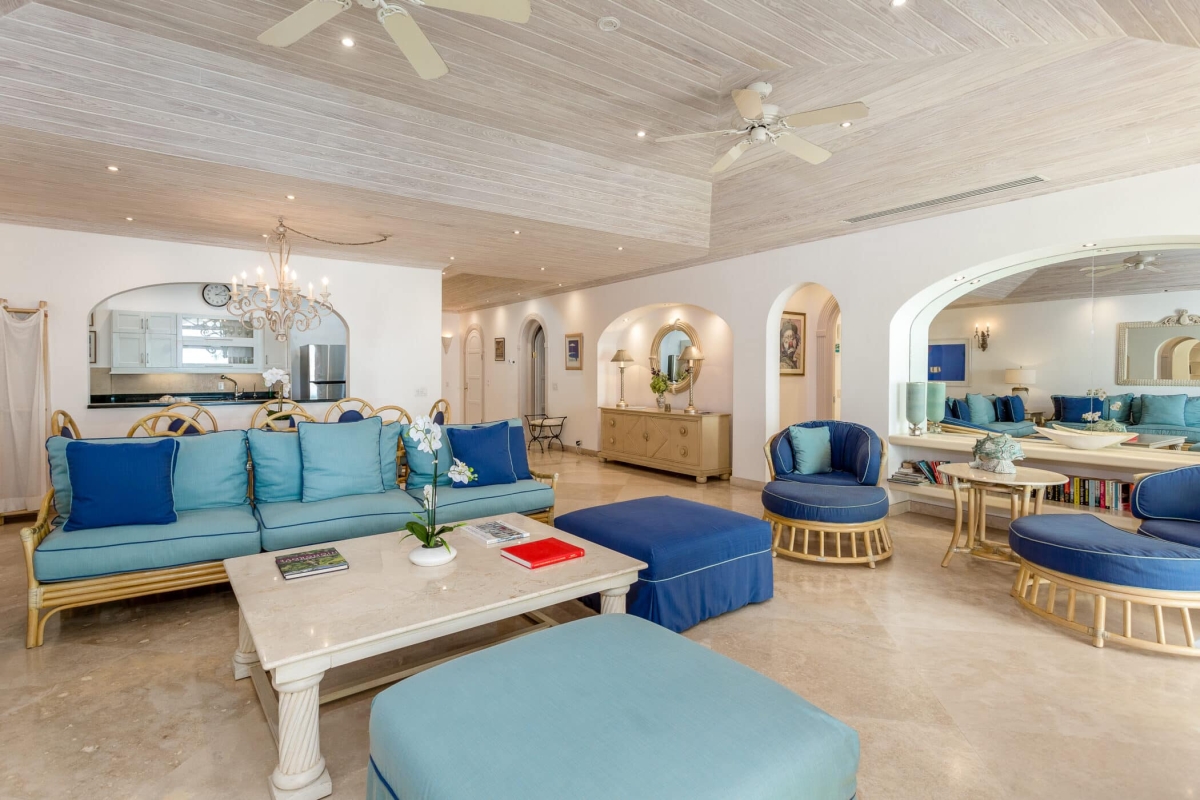 Old Trees 201 - Hallidays