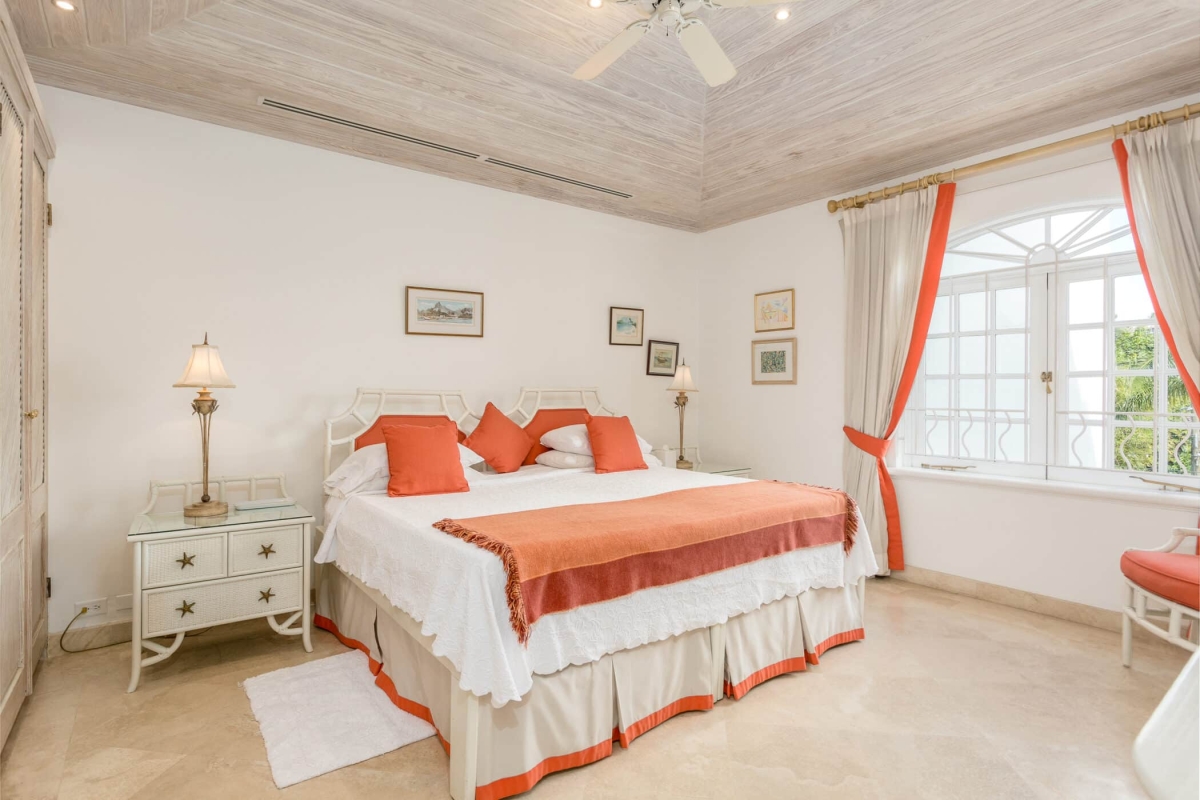 Old Trees 201 - Hallidays