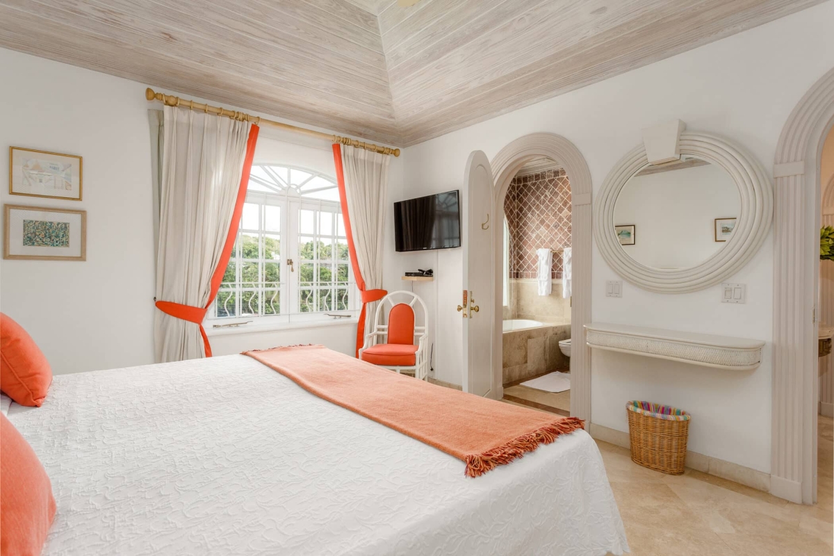 Old Trees 201 - Hallidays