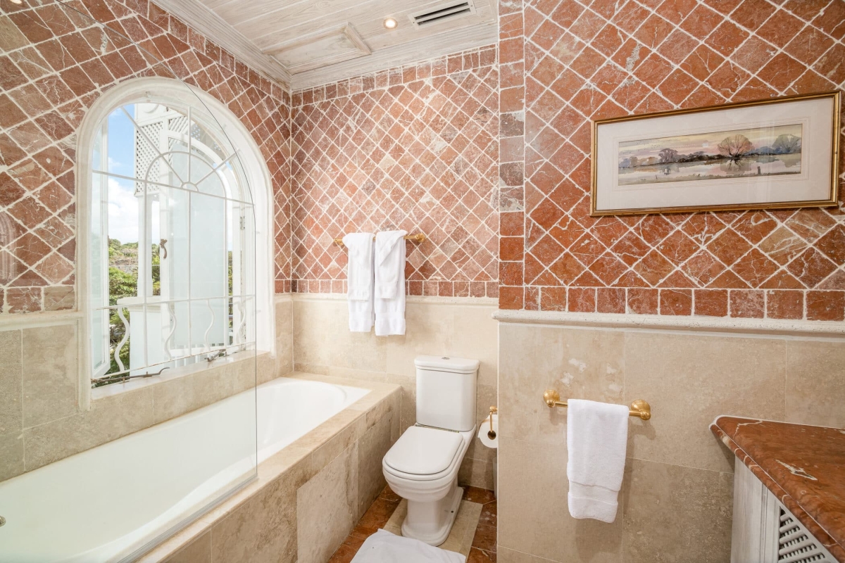 Old Trees 201 - Hallidays