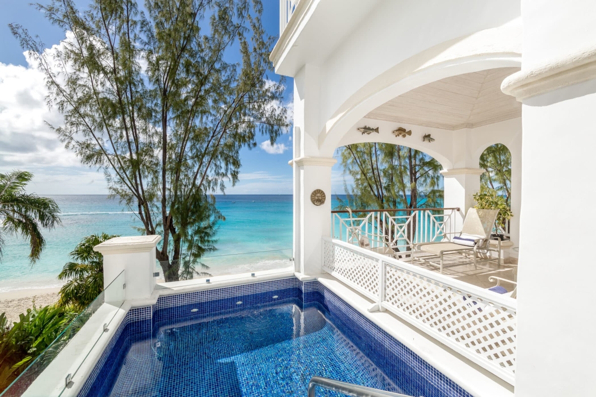 Old Trees 201 - Hallidays