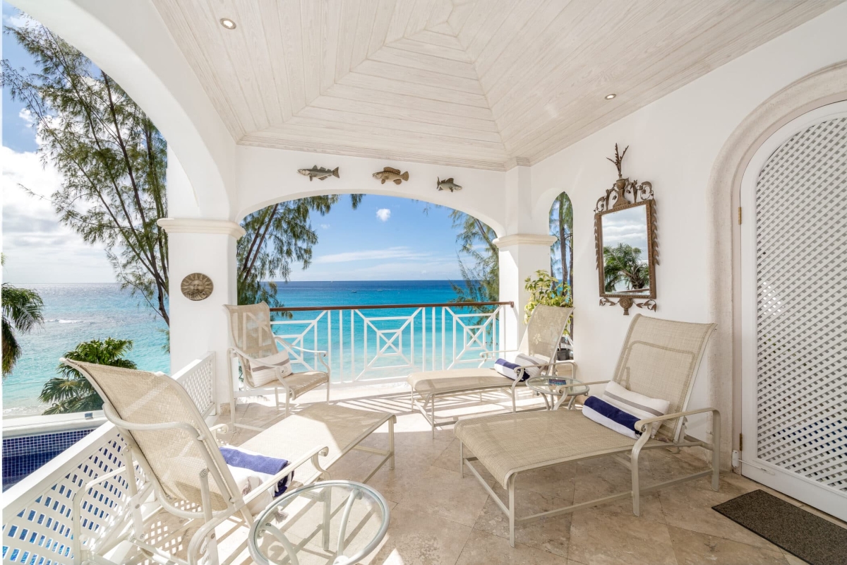 Old Trees 201 - Hallidays